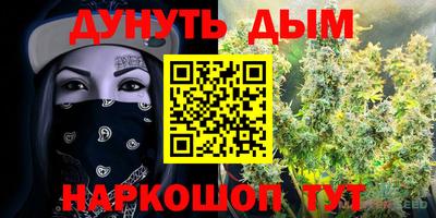 Альфа ПВП Ярославль