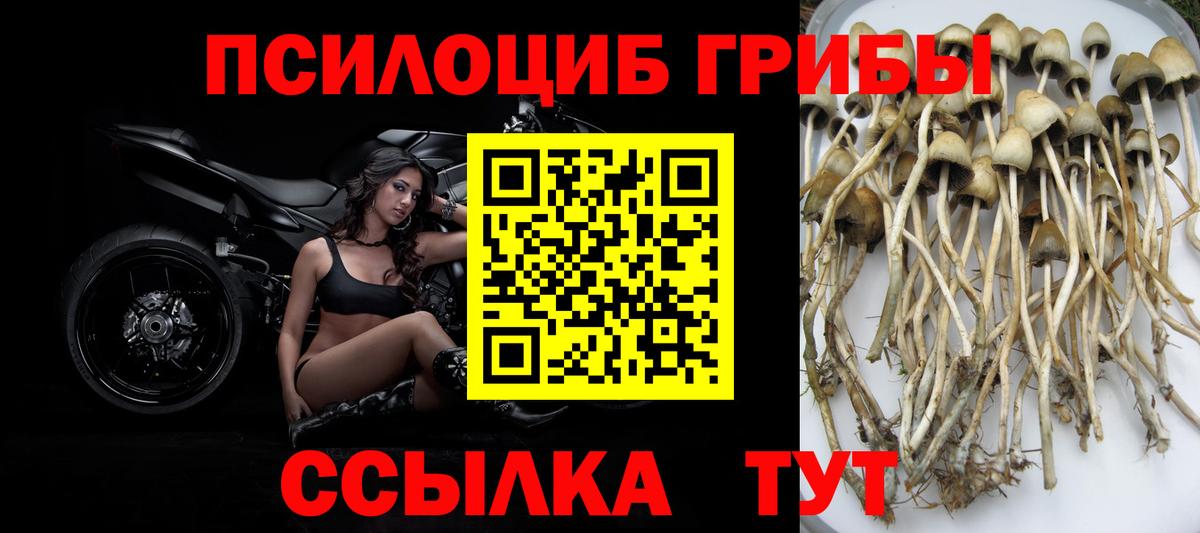 Галлюциногенные грибы мицелий  Вход с VPN  Сергиев Посад 